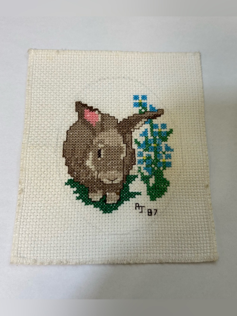 Vintage 1987 Rabbit Needlework Finished  Unframed Bunny Clothing Picture
